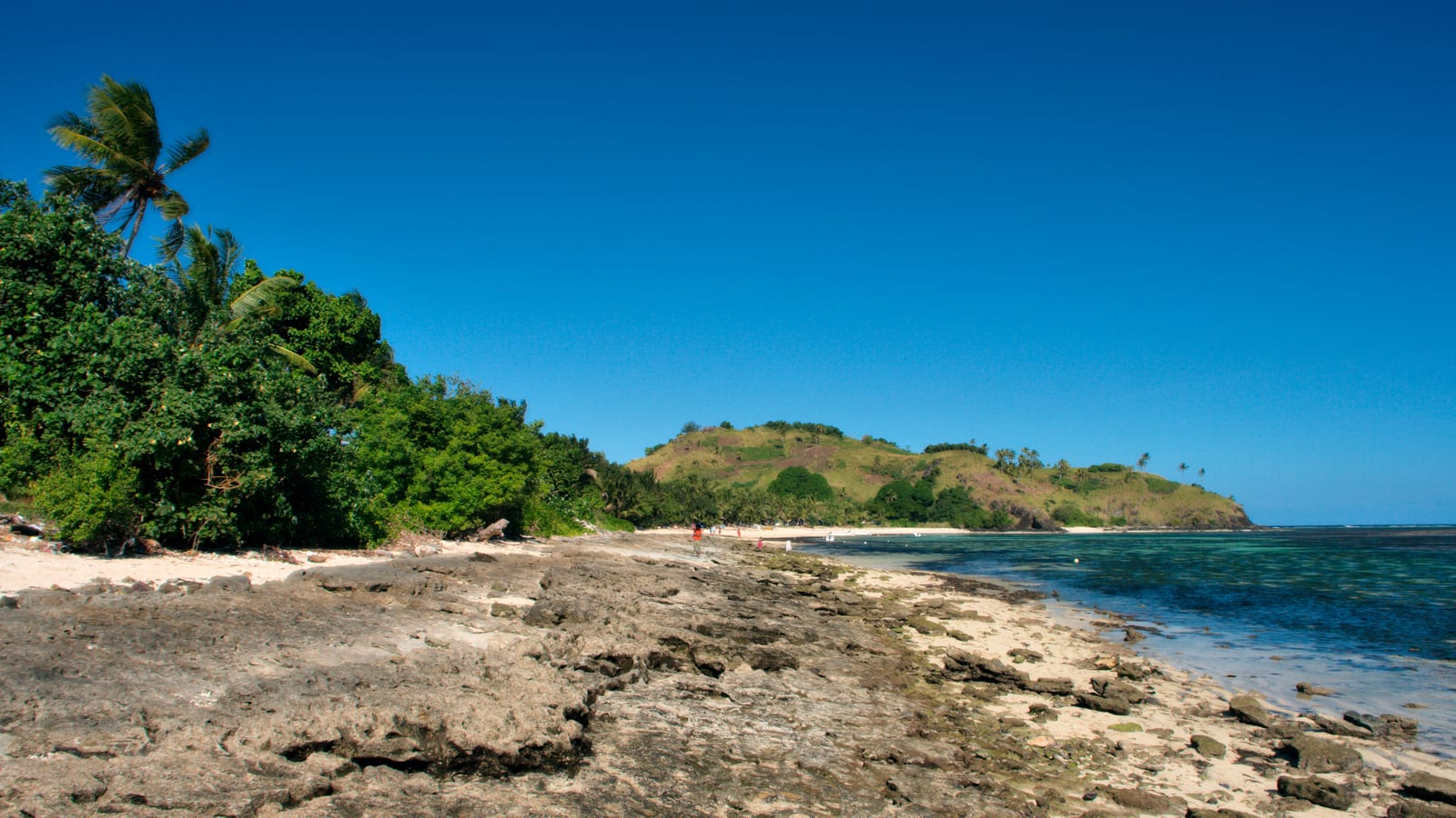 A palm-lined shoreline and clear shallow water in the Mamanuca Islands, Fiji